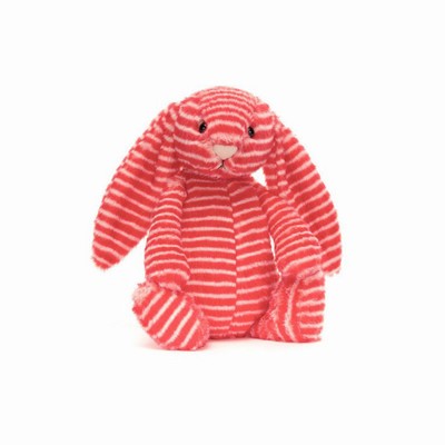 Jellycat Bashful Evey Bunnies USA | 20685QIBN